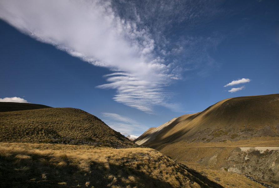 Document Name1_1.jpg